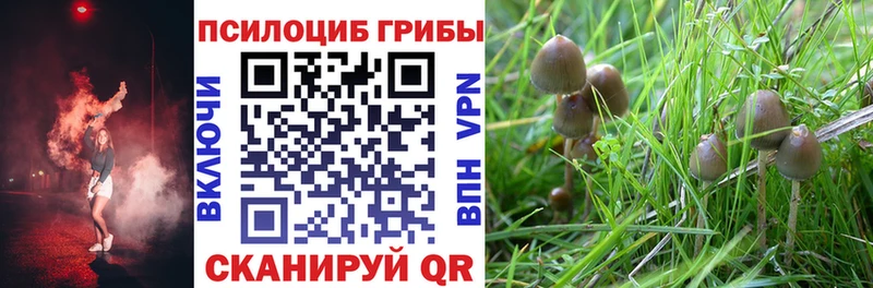 shop формула  Озёрск  Псилоцибиновые грибы прущие грибы  закладки 